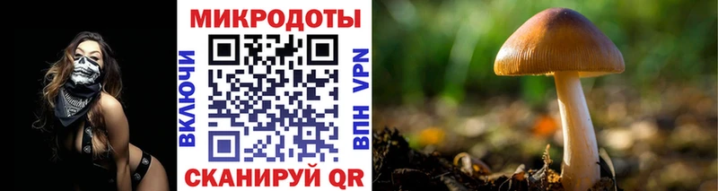 Псилоцибиновые грибы Cubensis Северобайкальск